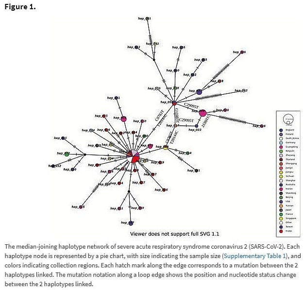 This study shows SARS-CoV-2 genome mutations (4 March 2020)