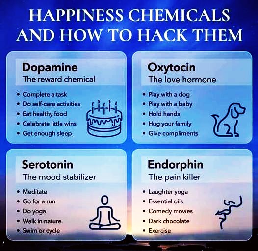 Happiness Chemicals And How To Hack Them:
Dopamine, Oxytocin, Serotonin & Endorphine